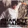 Toshinobu Kubota - Shake It Paradise